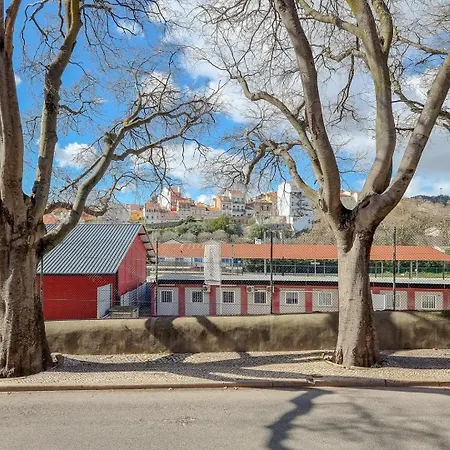 W. Lots Of In A Beautiful Terrace * リスボン