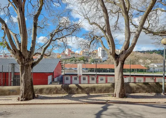 W. Lots Of In A Beautiful Terrace * Lisboa
